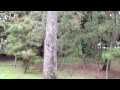 沼津御用邸にて